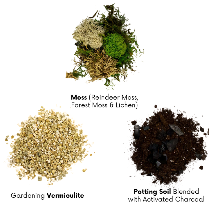 Workshop: Terrarium -- June 13, 2026 6 - 8pm